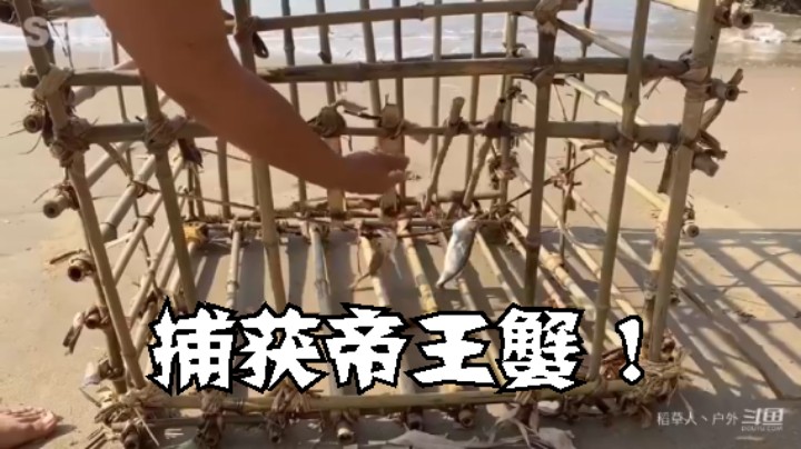 S2P23基本操作，都坐下6什么(10)捕获帝王蟹 烹饪【黄金兄弟】