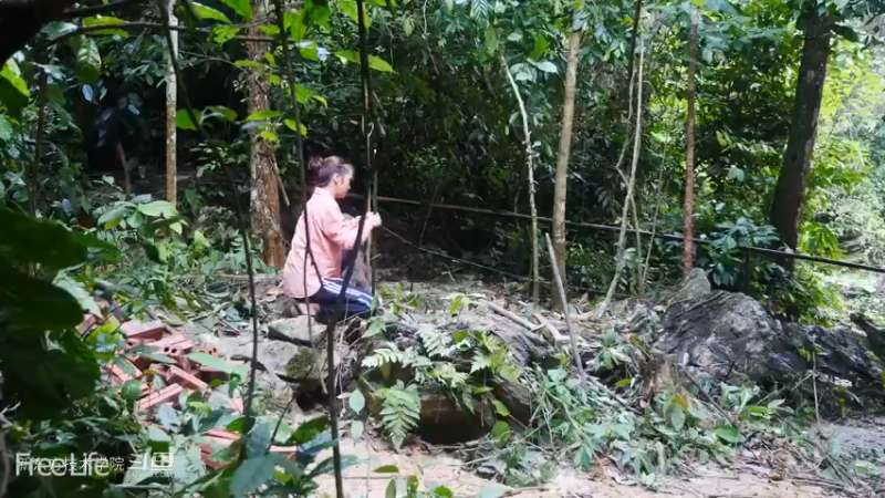 离网寻找田园乐土6全集延时拍摄看看这2年我都干了啥？全集延时拍摄看看这2年我都干了啥？