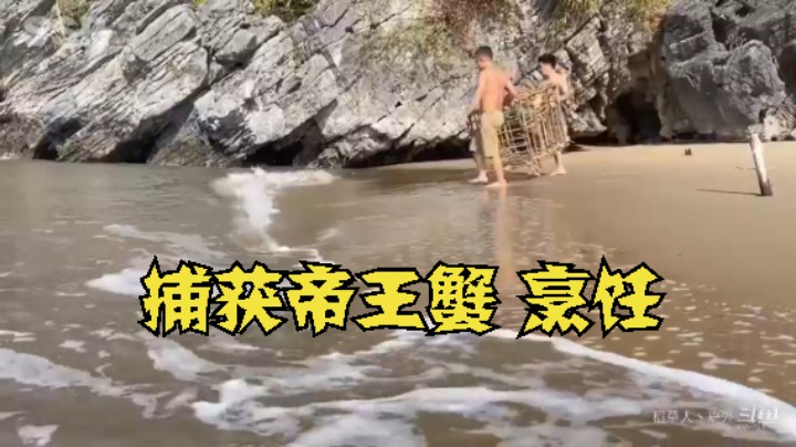 S2P23基本操作，都坐下6什么(5)捕获帝王蟹 烹饪【黄金兄弟】