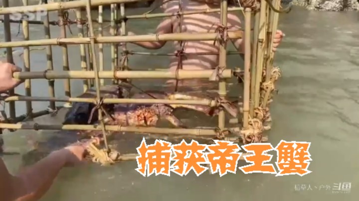 S2P23基本操作，都坐下6什么(13)捕获帝王蟹 烹饪【黄金兄弟】