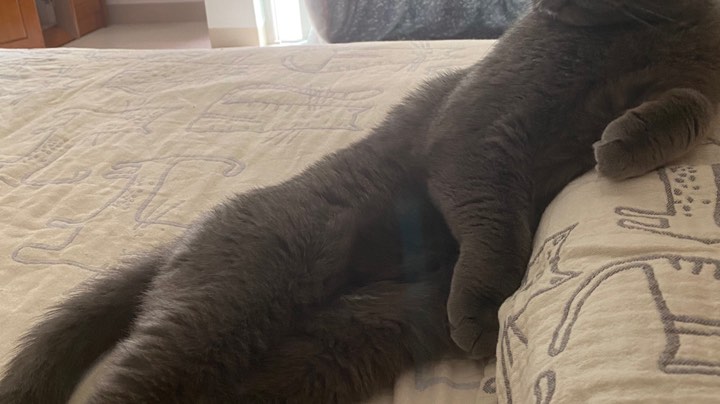 怀旧服魔兽世界TBC卡拉赞Ｈ会