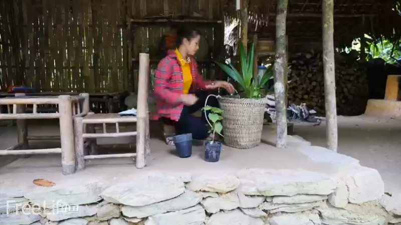 离网寻找田园乐土23全集延时拍摄看看这2年我都干了啥？全集延时拍摄看看这2年我都干了啥？