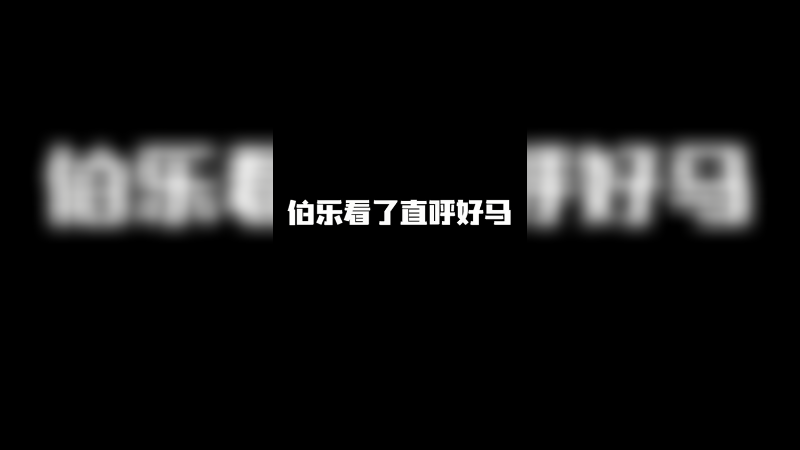 伯乐看了直呼好马
