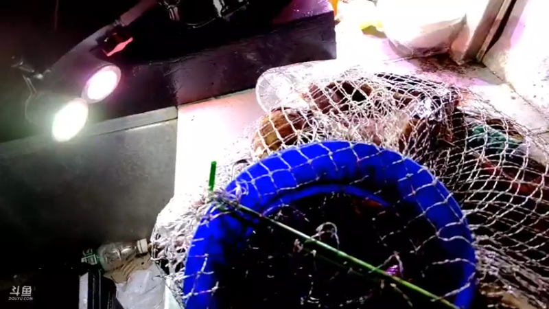 【2021-09-10 23点场】海道丶：今晚八点海底直播干巨物