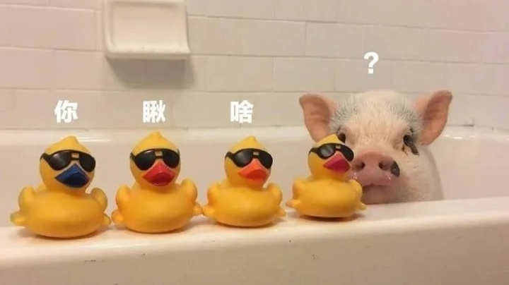 心情+1