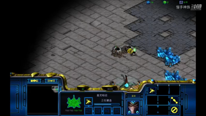 pvp天梯龙骑飘斯2021-09-11