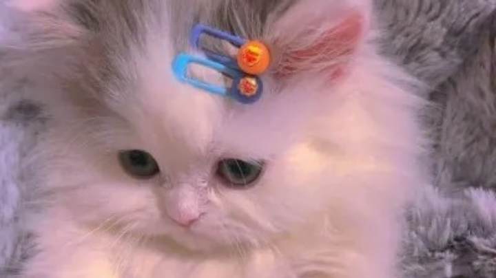 ε=ε=(＞Д＜)ノノ!!