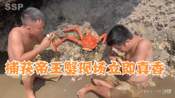 S2P23基本操作，都坐下6什么(17)捕获帝王蟹 烹饪【黄金兄弟】