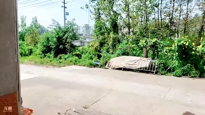 【2021-09-11 11点场】洪湖小肖：变形记之球王争霸