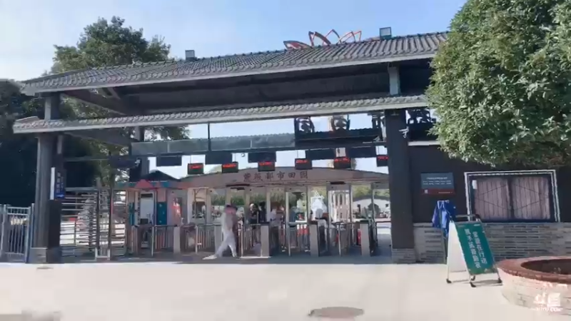 【2021-09-11 09点场】武汉妇女之家服务比拼：武汉妇女之家服务大比拼 7197277