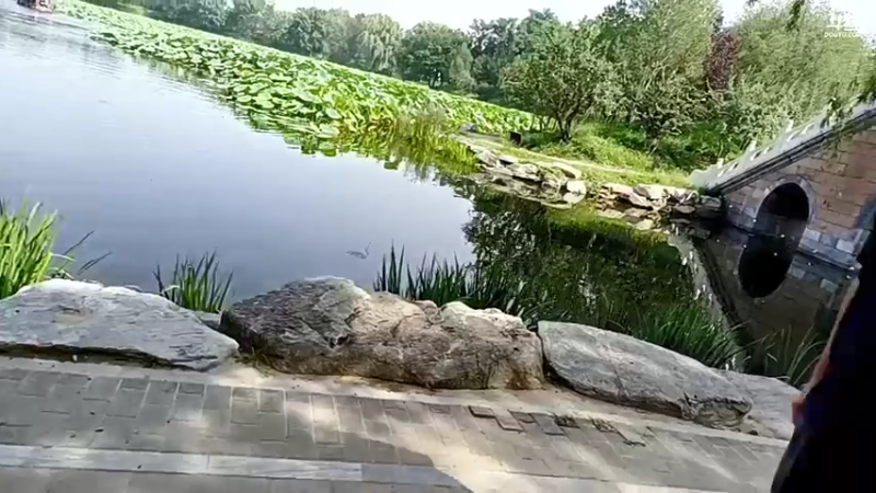 【2021-09-11 13点场】o北京老王o：圆明园。。