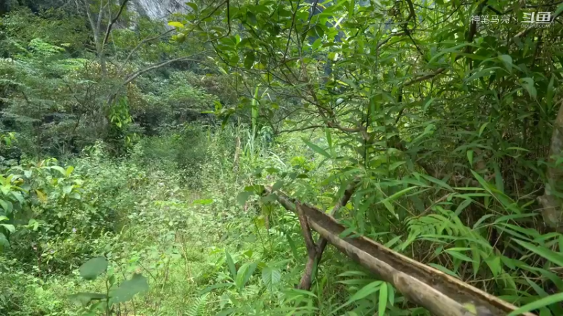 回顾1号基地40近期成果(1)铁斧【真人我的世界-空手发展-单人炼铁】