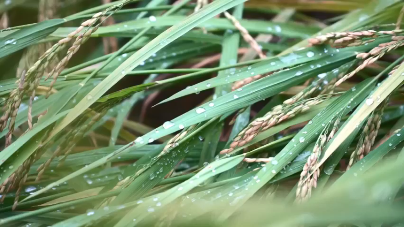 精选2基地41工具准备(1)【真人我的世界-空手发展-单人炼铁】