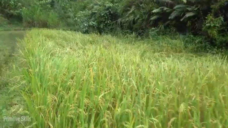 精选2基地41工具准备(2)【真人我的世界-空手发展-单人炼铁】