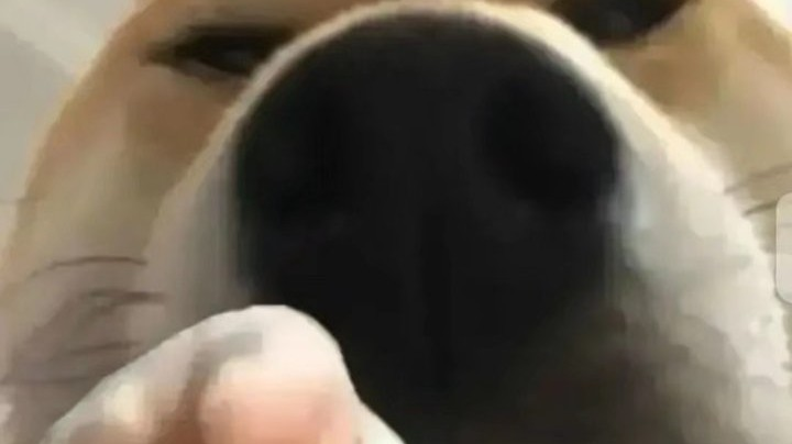 双人成行 之互相伤害