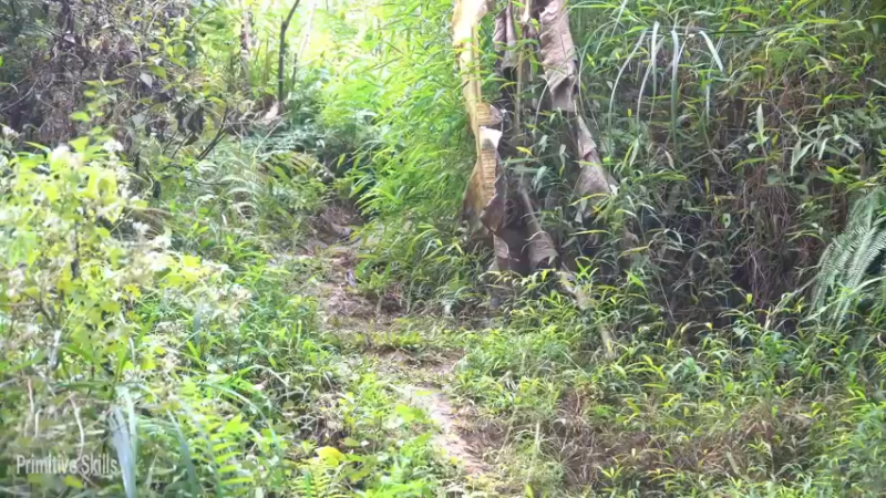 S2离网乐园47收集种子(7)【真人我的世界-空手发展-单人炼铁】