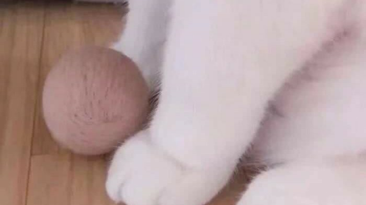 单排AD随录