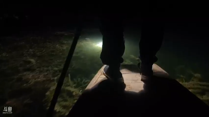 【2021-09-12 19点场】魅力生活i：久违的X鱼