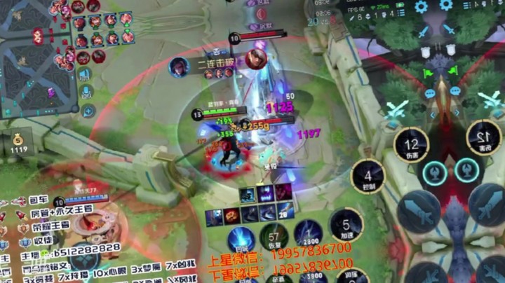 蓝羽带粉