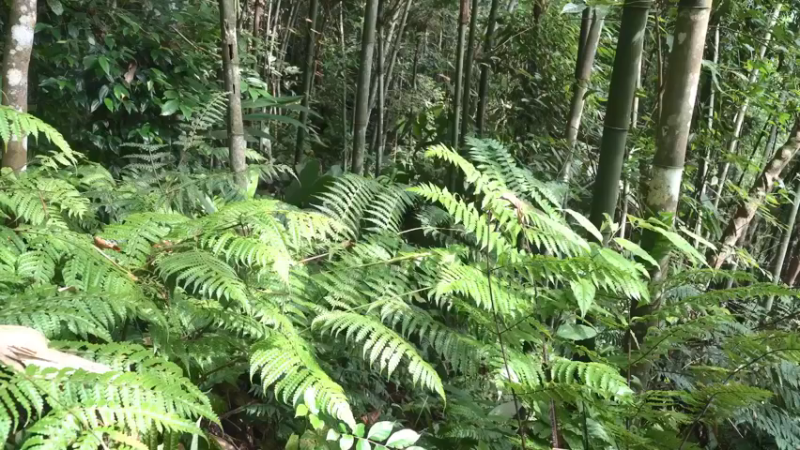 S2离网乐园自由荒野45科学去皮(1)【真人我的世界-空手发展-单人炼铁】