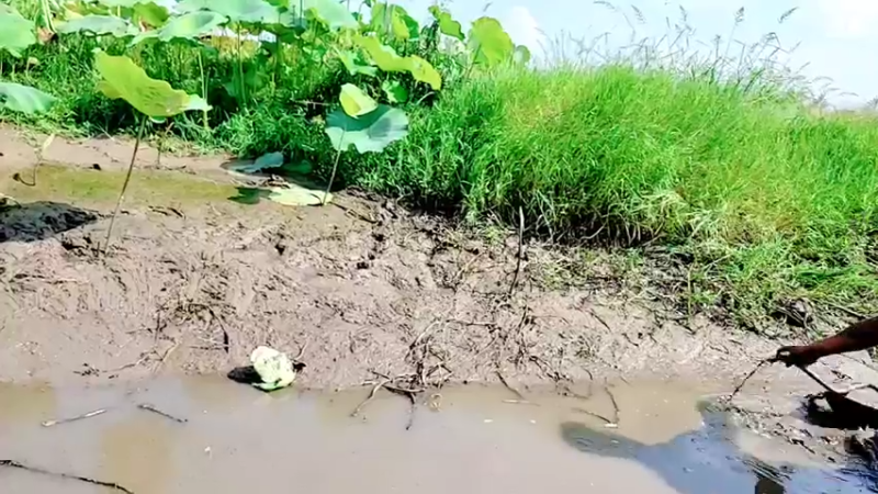 【2021-09-12 14点场】洪湖小肖：怼坑走起！！！