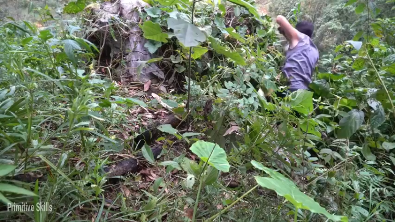 S2离网乐园47收集种子(4)【真人我的世界-空手发展-单人炼铁】