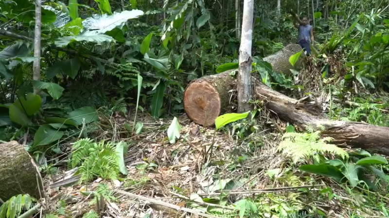 S2离网乐园自由荒野45科学去皮(2)【真人我的世界-空手发展-单人炼铁】