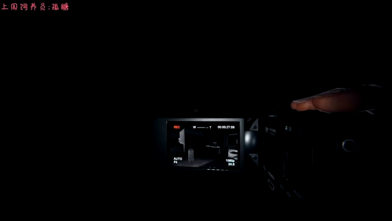 【2021-09-11 23点场】七潇丷：恐怖乐园！！！！！