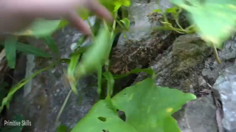 S2离网乐园47收集种子(2)【真人我的世界-空手发展-单人炼铁】