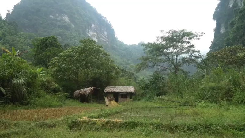 2基地精选44编花篮子(1)【真人我的世界-空手发展-单人炼铁】