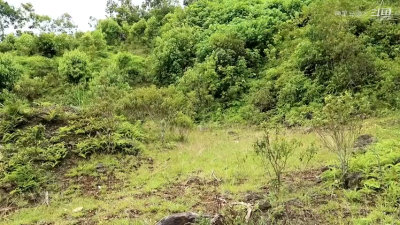 精剪回顾1号基地33炼铁(1)【真人我的世界-空手发展-单人炼铁】