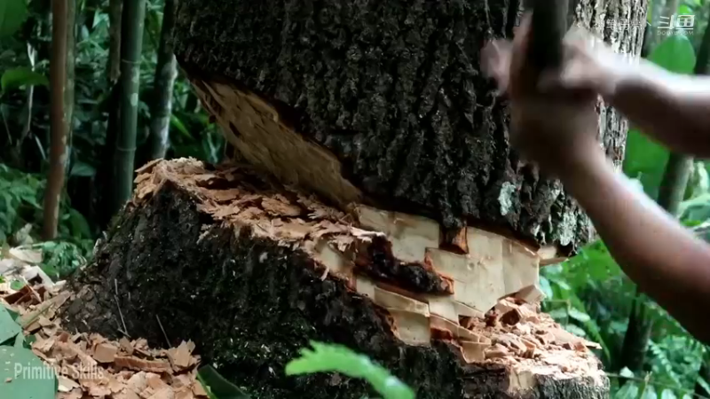 回顾1号基地37伐木累(8)铁斧【真人我的世界-空手发展-单人炼铁】