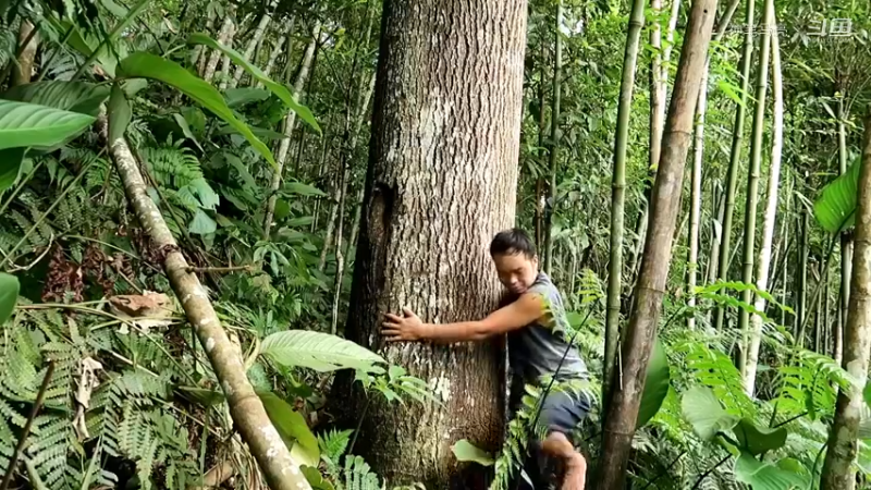 回顾1号基地37伐木累(3)铁斧【真人我的世界-空手发展-单人炼铁】