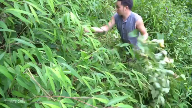 S2离网乐园47收集种子(3)【真人我的世界-空手发展-单人炼铁】