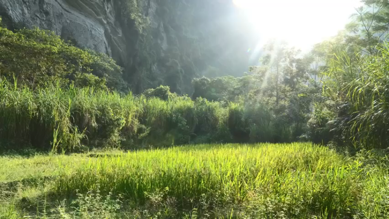 精选2基地41工具准备(1)【真人我的世界-空手发展-单人炼铁】