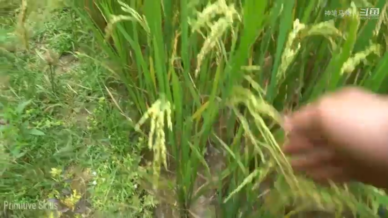 回顾1号基地40近期成果(3)铁斧【真人我的世界-空手发展-单人炼铁】