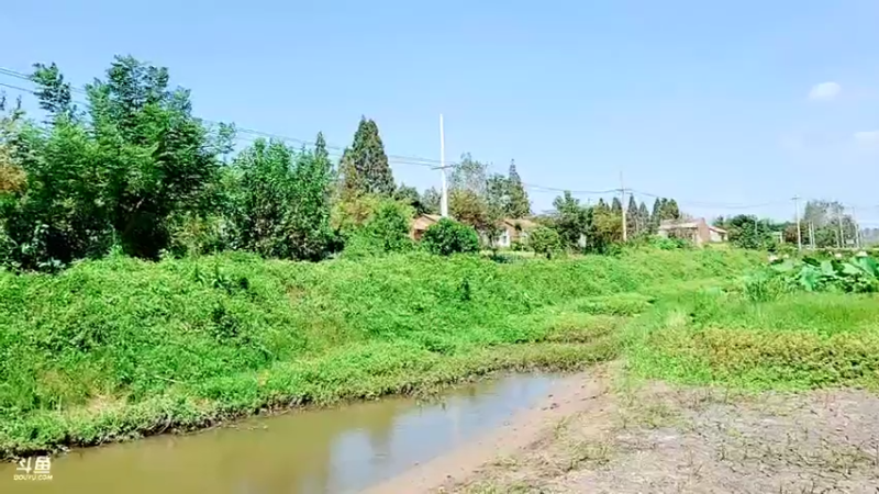 【2021-09-12 12点场】洪湖小肖：怼坑走起！！！