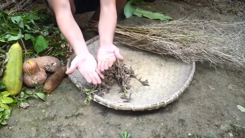 S2离网乐园47收集种子(8)【真人我的世界-空手发展-单人炼铁】