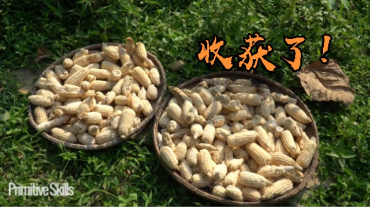 第三季热乎更新E126户外超级大游泳池2【单人真人我的世界-铁器时代-稻谷哥-离网乐园】