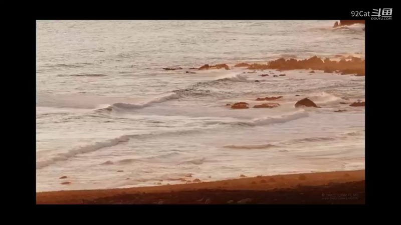 <<借你的眼睛看世界>>-B