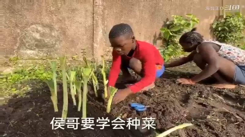 非洲飞哥美食50