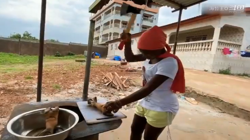 非洲飞哥美食21