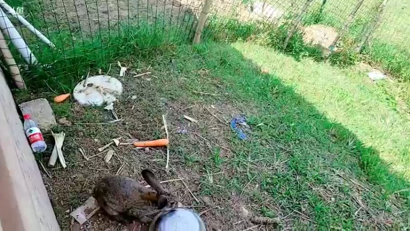 【2021-09-13 13点场】洪湖小肖：怼坑走起！！！