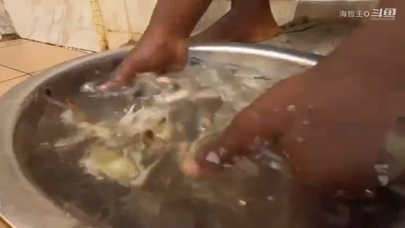 非洲飞哥美食250