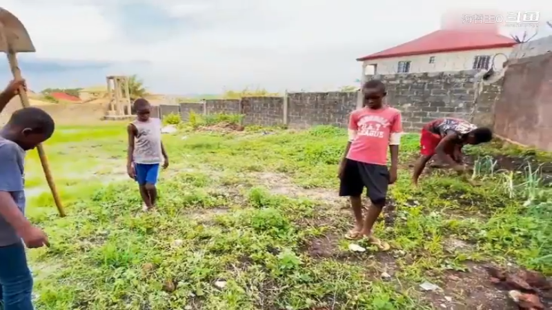非洲飞哥美食97