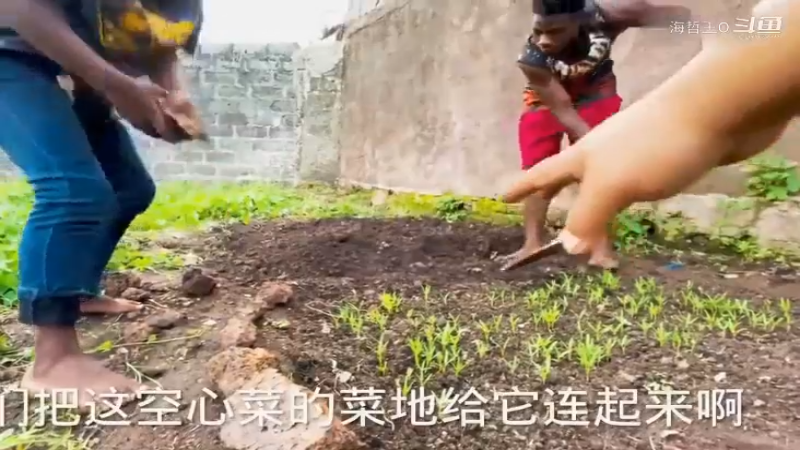 非洲飞哥美食99