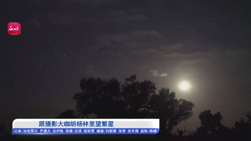 【2021-09-11 20点场】热点快报：跟摄影大咖胡杨林里望繁星