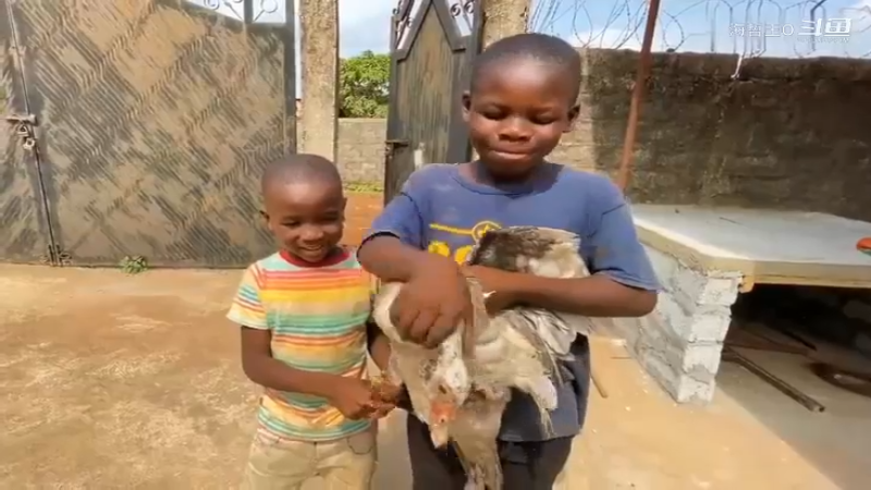 非洲飞哥美食125