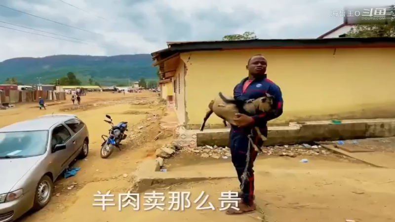 非洲飞哥美食80