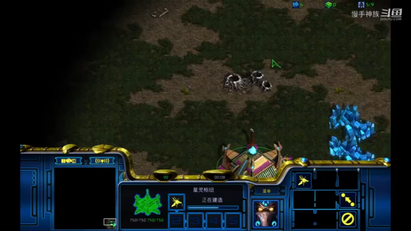 pvz斗魂开局优势很大啊2021-09-13 05-12-23